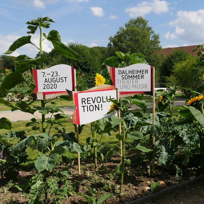 Drei Fahnen mit der Aufschrift "Dalheimer Sommer", "Revolution!" und 7.-22. August 2020" stecken in einem Sonnenblumenfeld. (öffnet vergrößerte Bildansicht)